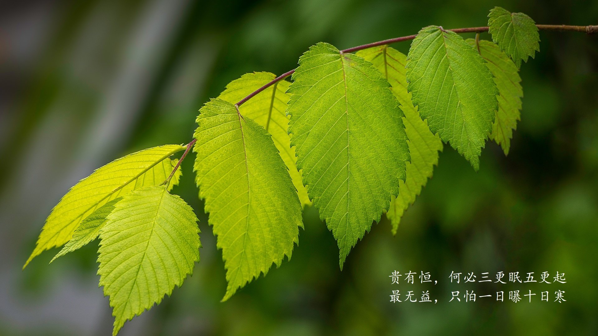 牡丹江市农贸市场有哪些(牡丹江农贸市场在哪)