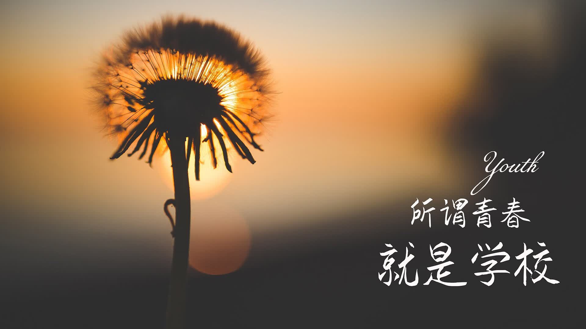 牡丹江市蔬菜批发价格(牡丹江市蔬菜批发价格表)